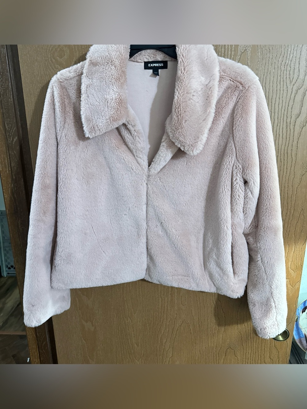 Express Plush Faux Fur Teddy Jacket in Light Pink
